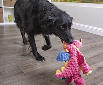 goDog Chew Resistant Squeaker Plush Pet Toy