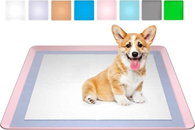 Skywin Dog Puppy Pad Holder Tray