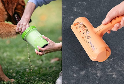If You Have Pets, Keeping Your Home Nice Is Hard — But These Things Make It So Much Easier