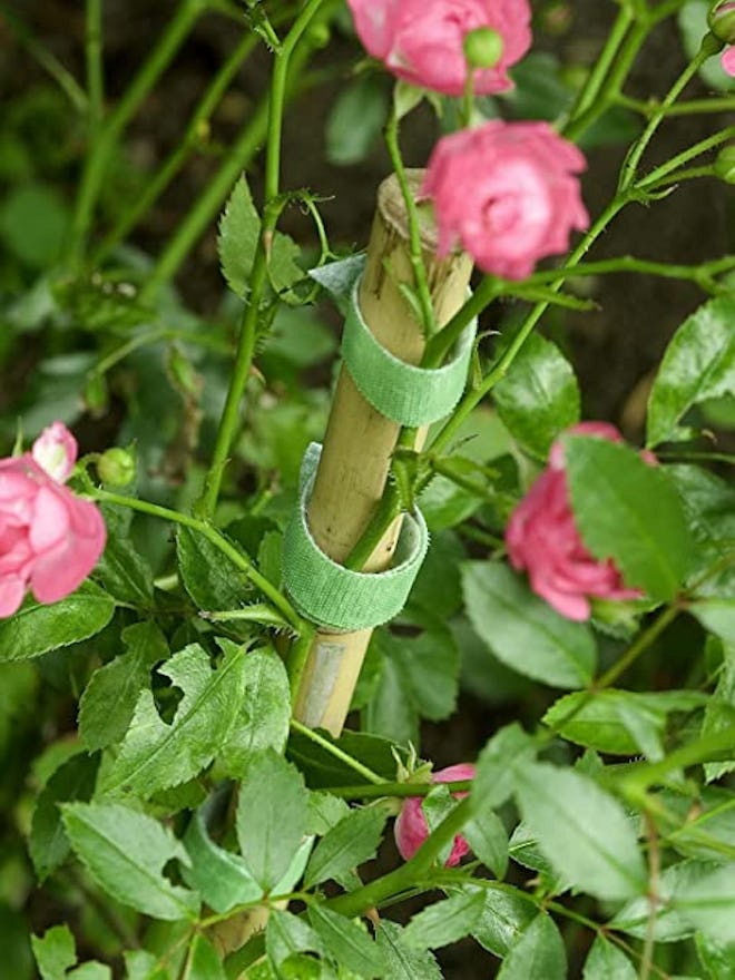 Some plants need a little extra support, so having garden ties in your gardening tools collection is...