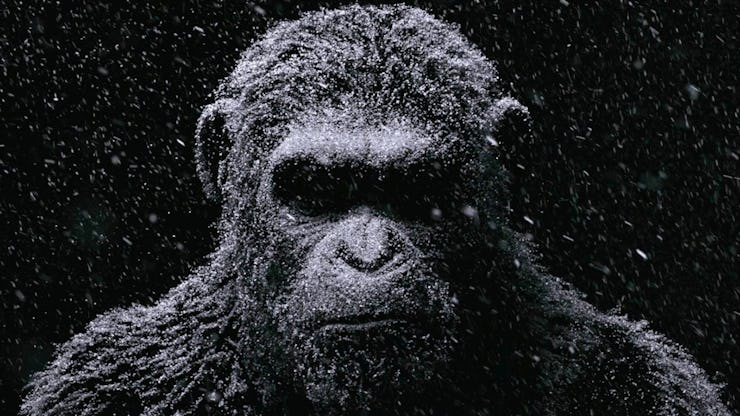 war for the planet of the apes caesar
