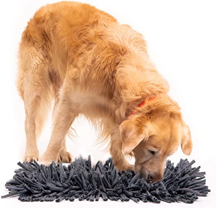 Paw 5 Dog Snuffle Mat