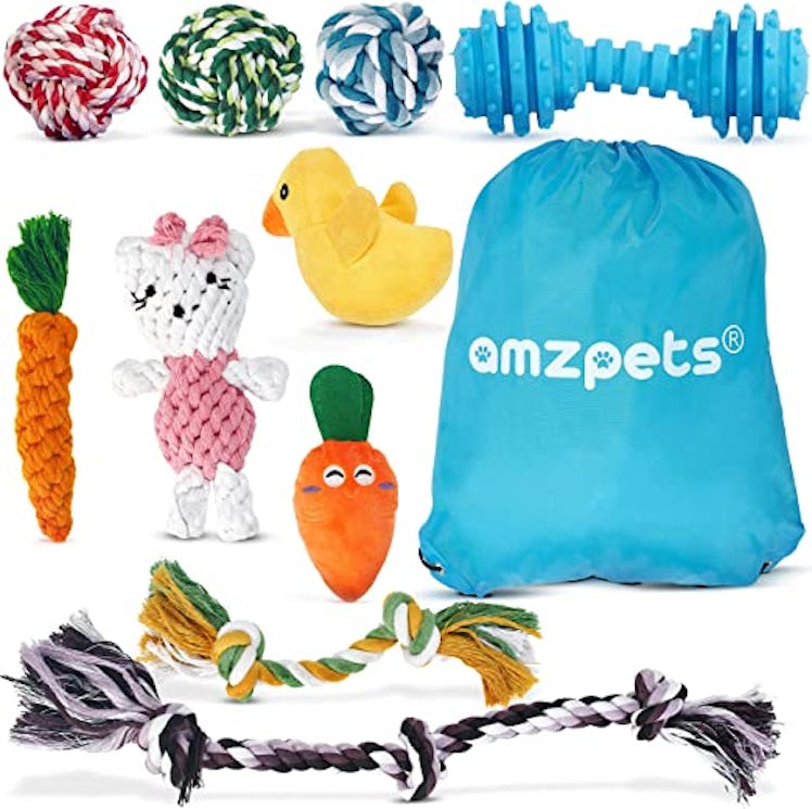 AMZpets Toys Set (10 Pieces)