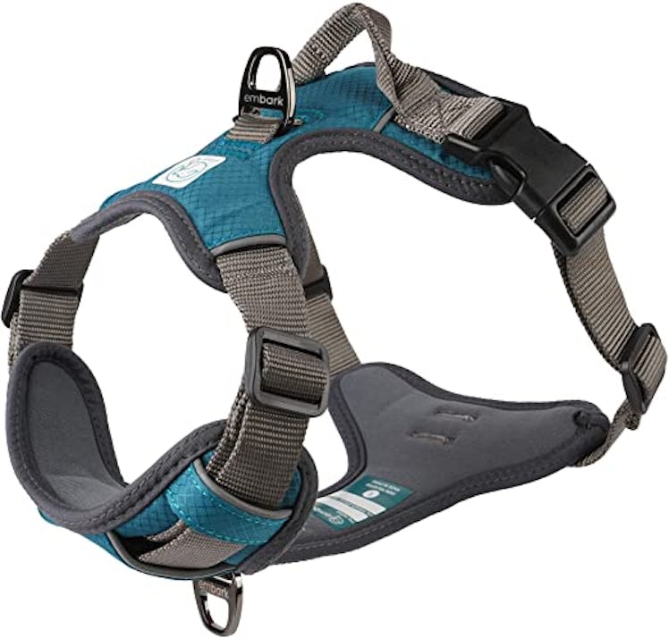 Embark Adventure Dog Harness