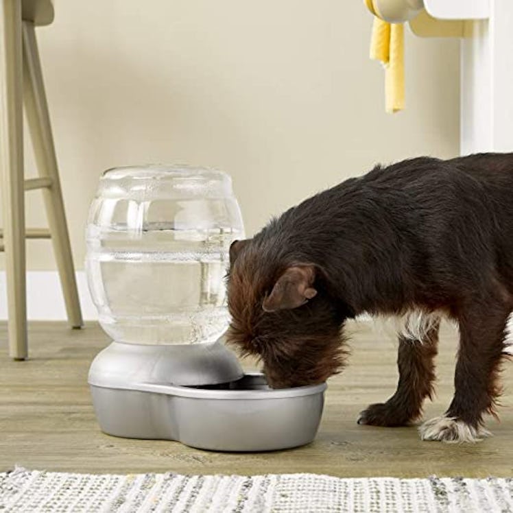 Petmate Replendish Gravity Waterer