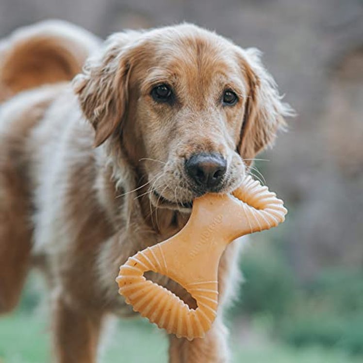 Benebone Dental Durable Dog Chew Toy