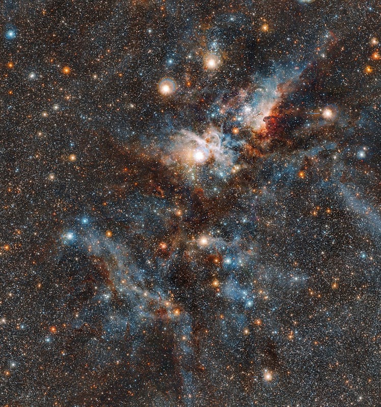 A glittering view of the Carina Nebula. Streams of gas bend around bright stars. 