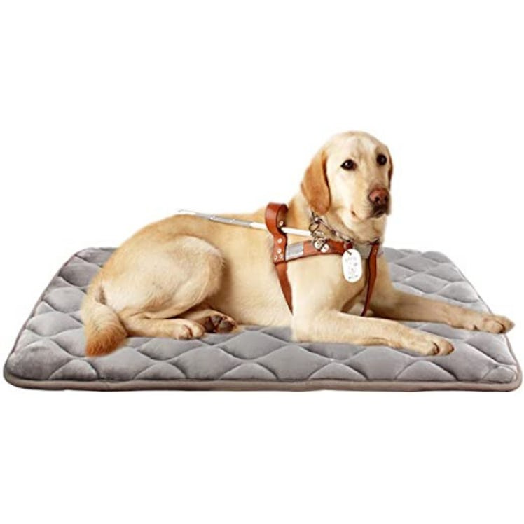 furrybaby Dog Bed Mat Crate Mat