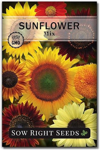 Sow Right Seeds Mixed Sunflower Seeds (1-Pack)