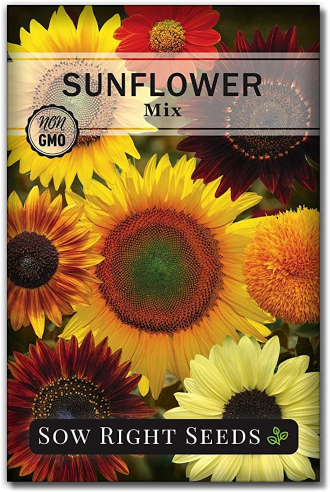 Sow Right Seeds Mixed Sunflower Seeds (1-Pack)