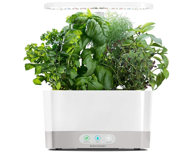 AeroGarden Harvest - Indoor Garden with LED Grow Light