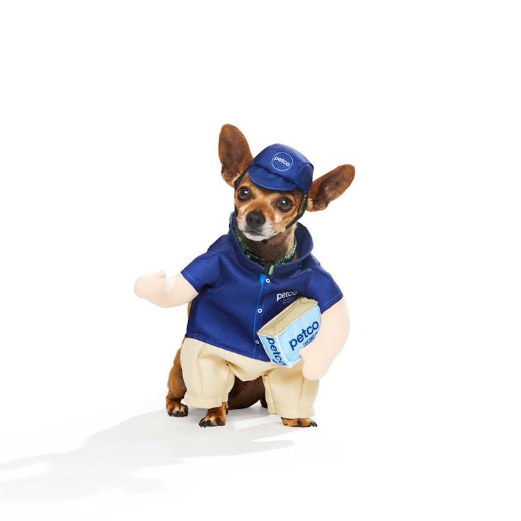 The Petco Halloween 2022 collection for dogs includes a cute carrier costume.