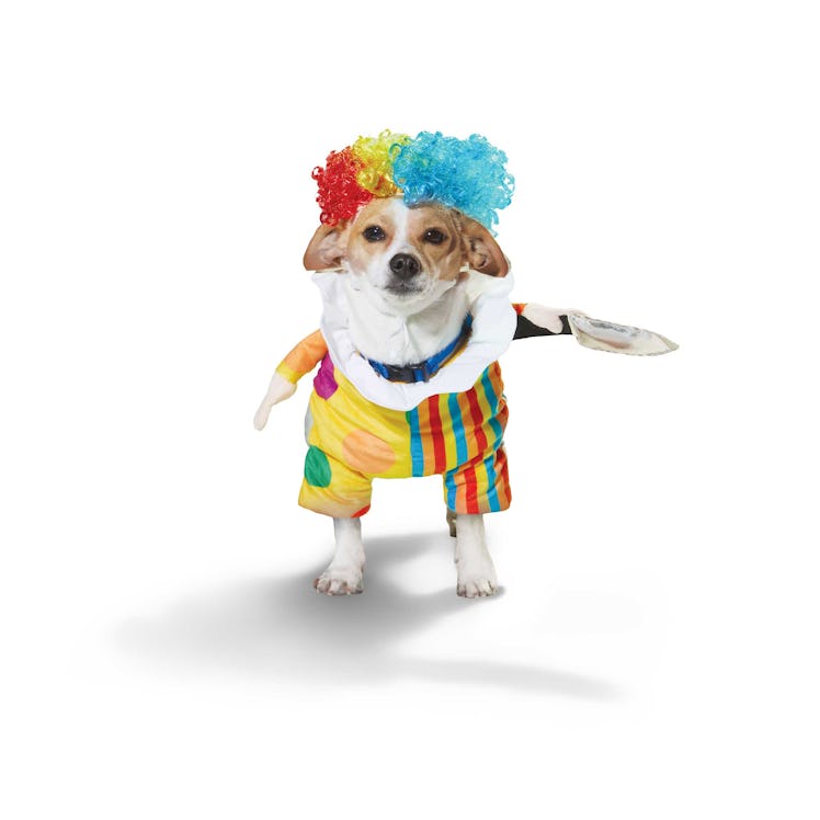 The Petco Halloween 2022 collection for dogs includes a clown costume.