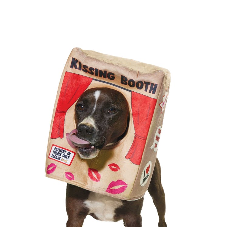 The Petco Halloween 2022 collection for dogs includes a kissing booth costume. 