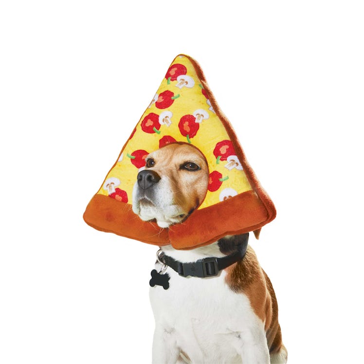 The Petco Halloween 2022 collection for dogs includes pizza.
