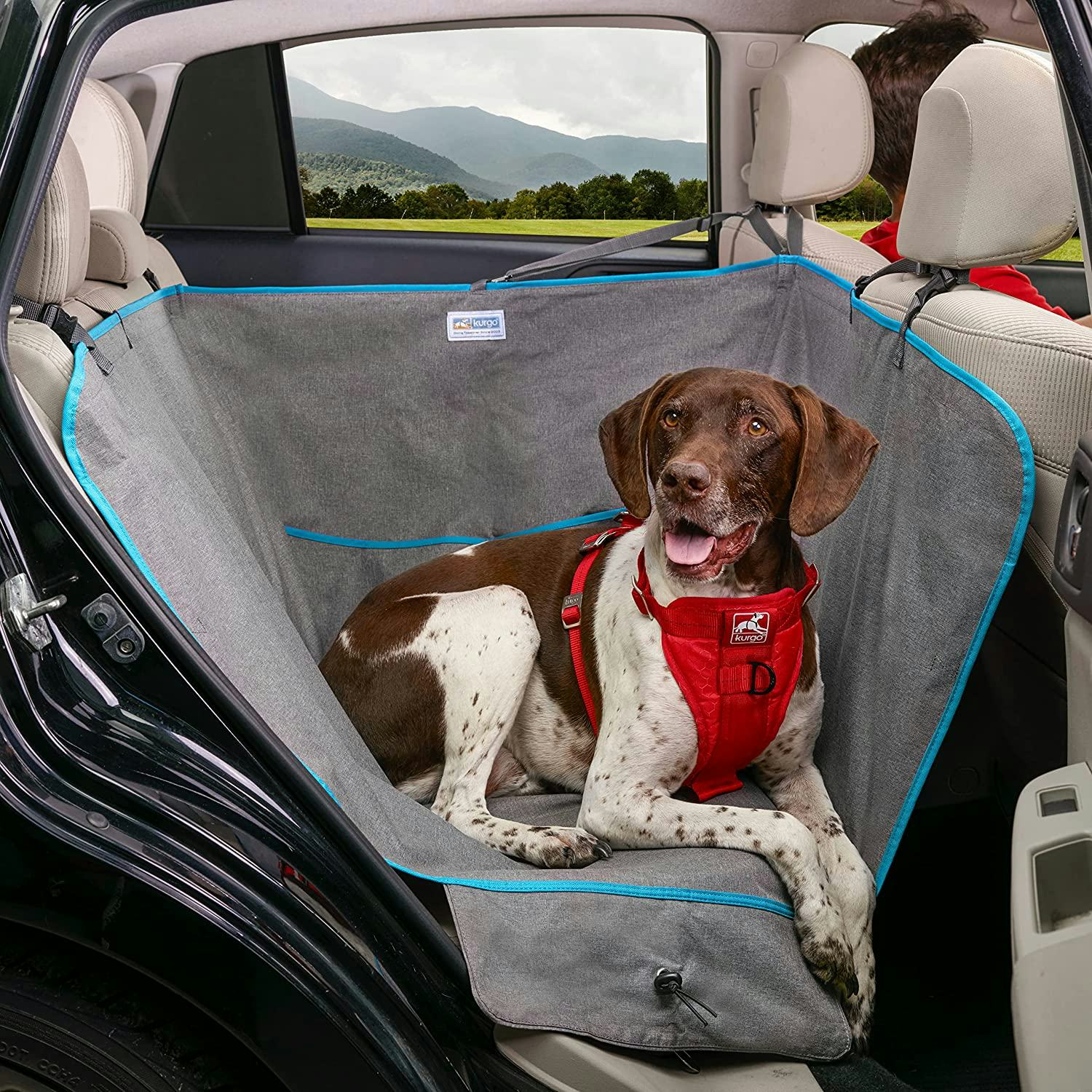 The 3 Best Dog Hammocks For Cars