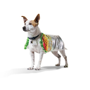 The Petco Halloween 2022 costumes for dogs includes a burrito costume.