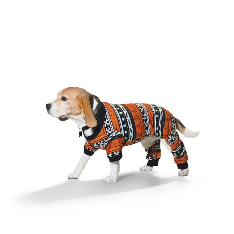 The Petco Halloween 2022 collection for dogs includes pajamas. 
