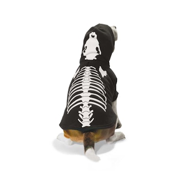 The Petco Halloween 2022 collection for dogs includes a skeleton onesie. 