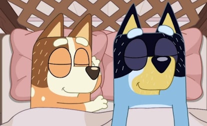 Bandit and Chile in 'Bluey'