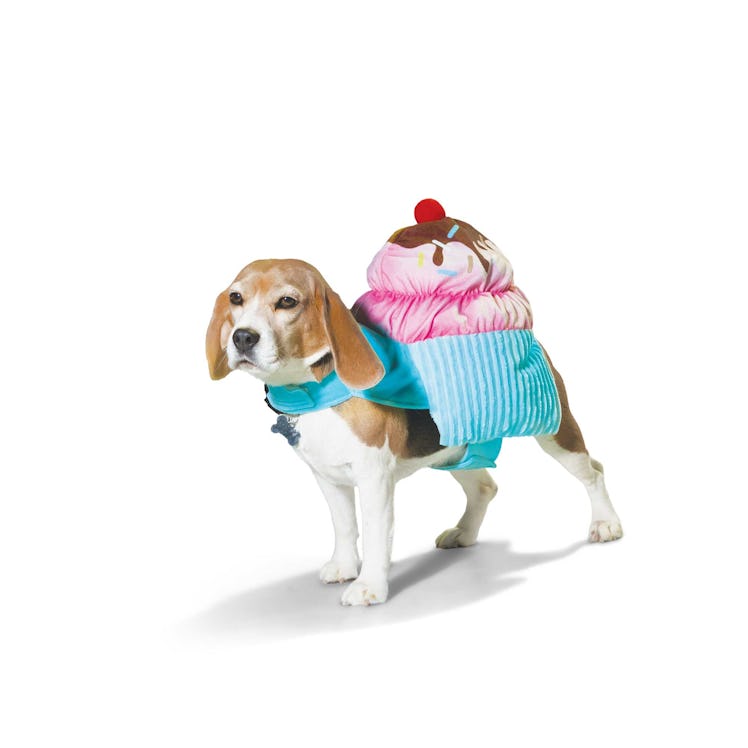 The Petco Halloween 2022 collection for dogs includes a cupcake costume. 