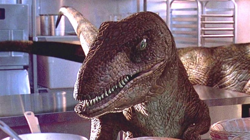 A raptor in 'Jurassic Park.'