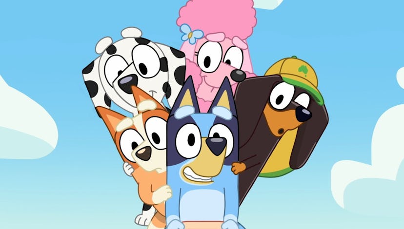 Coco's family in 'Bluey'