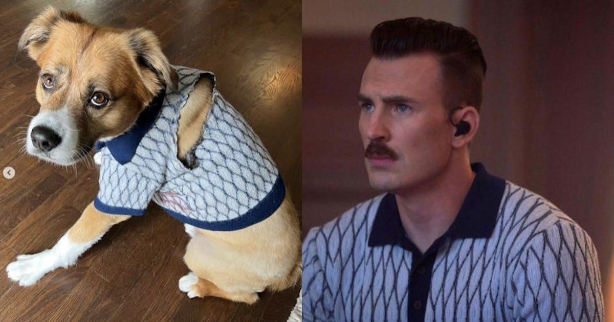 Chris Evans got his dog Dodger a matching shirt. 