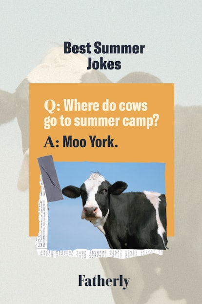Best summer jokes: Where do cows go for summer camp? Moo York.