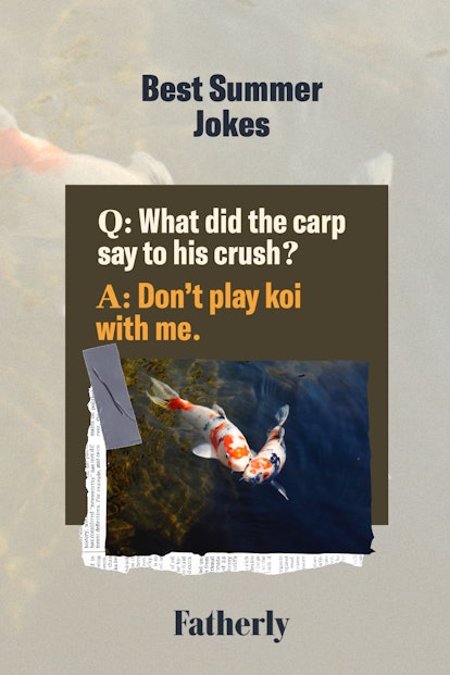 Best summer jokes: What did the carp say to his crush? Don't play koi with me