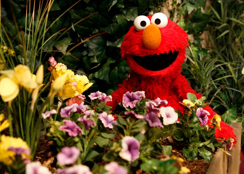 A photo of Elmo smiling surrounded by wildflowers in an article about what kind of monster is elmo.