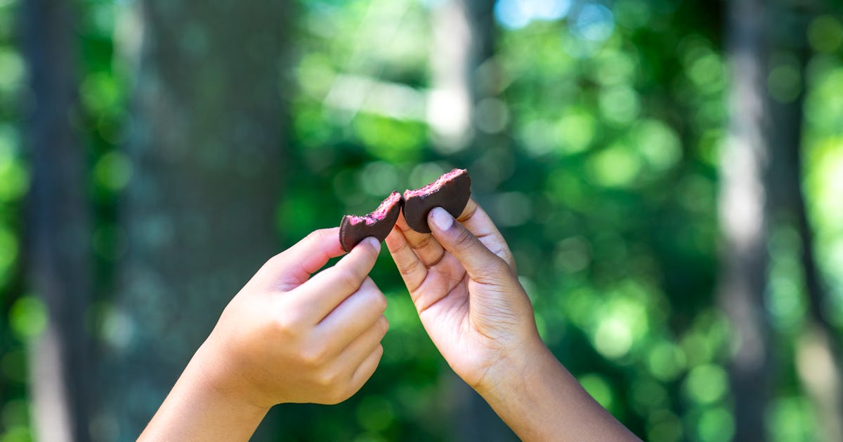 Girl Scouts’ New Raspberry Rally Cookie Is Similar To A Thin Mint