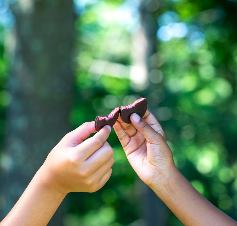 Girl Scouts Cookies' new flavor for 2023.