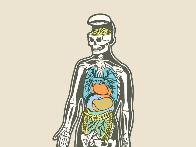 skeleton