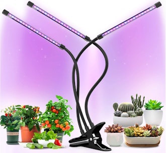 Buteny Grow Lights Plant Light for Indoor Plants