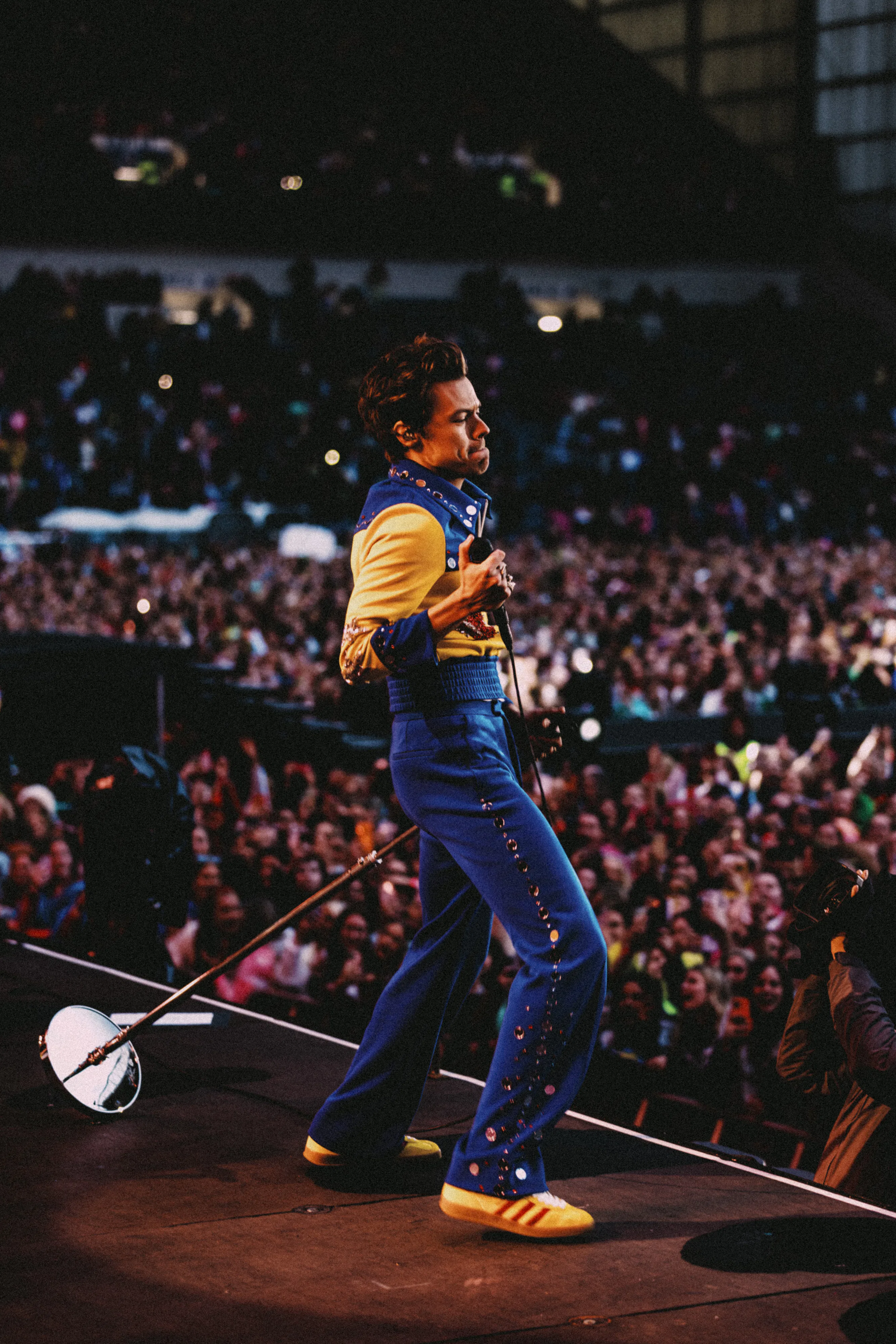 harry styles yellow adidas pants