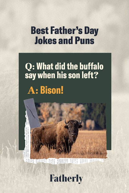 父亲节笑话:问:当水牛的儿子离开时，水牛说了什么?/ A:野牛!