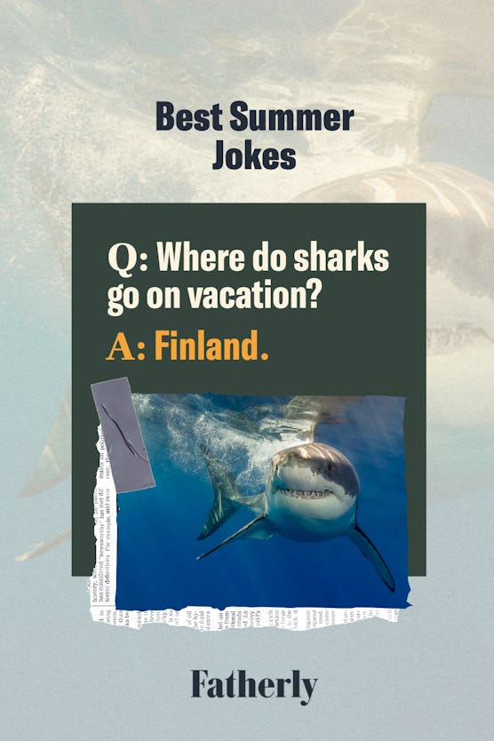 Best summer jokes: Where do sharks go on vacation? Finland.