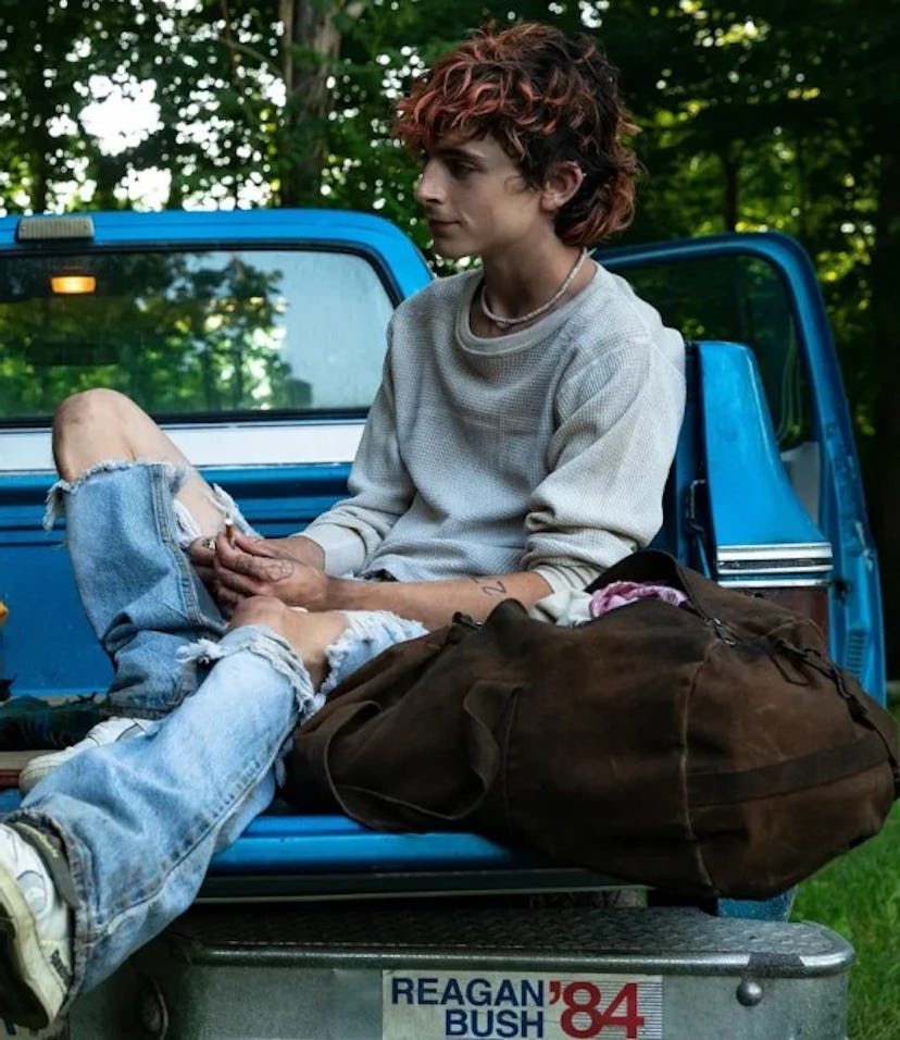 Timothée Chalamet and Taylor Russell in Bones & All