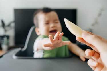 一个在高椅子上哭泣的婴儿伸手去拿父母用钳夹着的苹果片。