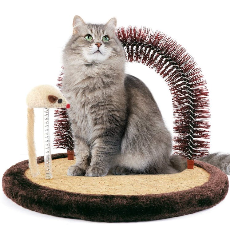 Happi N Pets Self Groomer Cat Massager