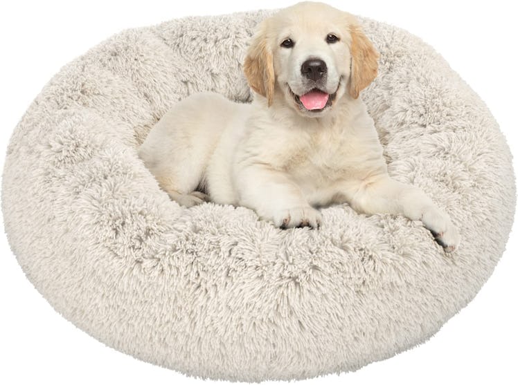 Active Pets Plush Calming Dog Bed