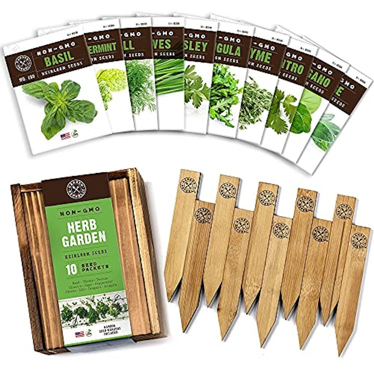 Herb Garden Seeds for Planting (Set of 10)