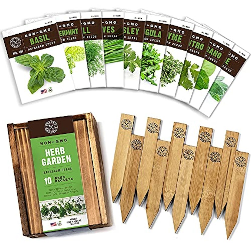 Herb Garden Seeds for Planting (10 Packets)