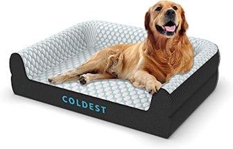 The Coldest Water Cooling Dog Bed