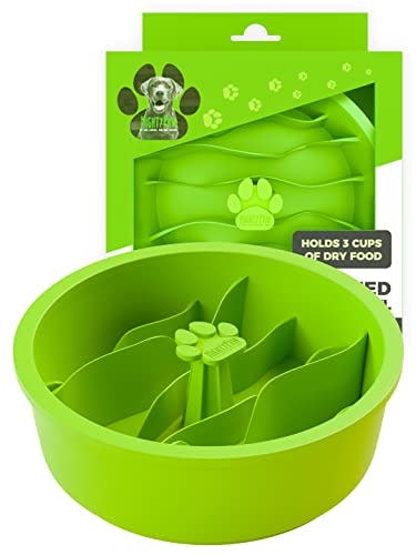 Mighty Paw Slow Feeder Dog Bowls
