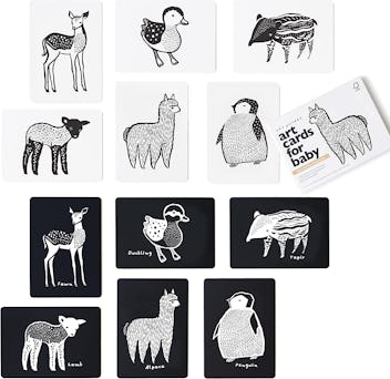 This black and white flash card set is a newborn toy with stimulating high-contrast colors. 