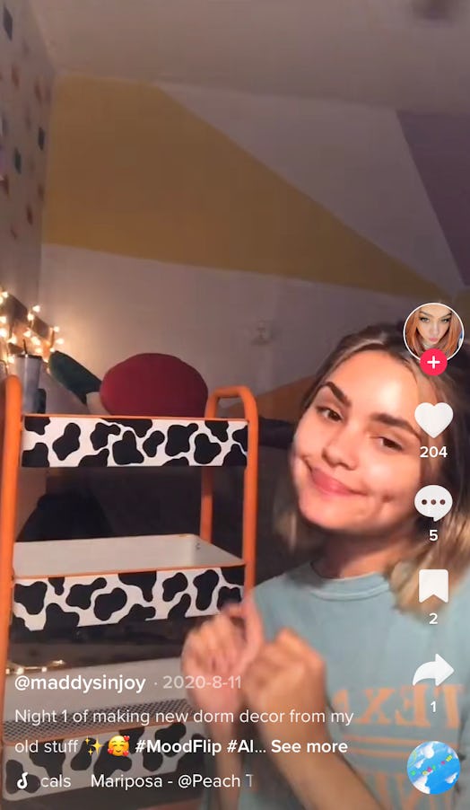 Painted cow print is a trendy, cheap, and easy DIY dorm decor idea from TikTok.