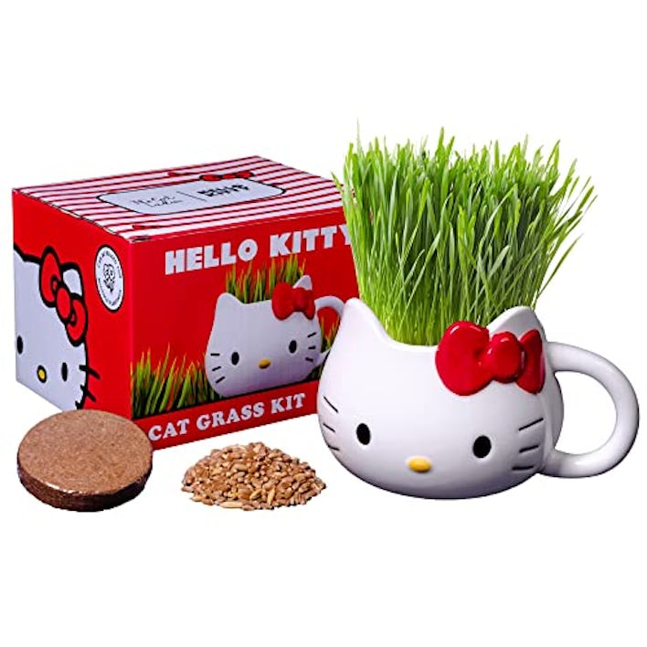 The Cat Ladies Hello Kitty Organic Cat Grass Growing kit