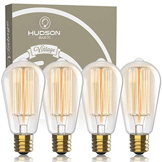 HUDSON BULB CO. 60-Watt Edison Light Bulbs (4-Pack)